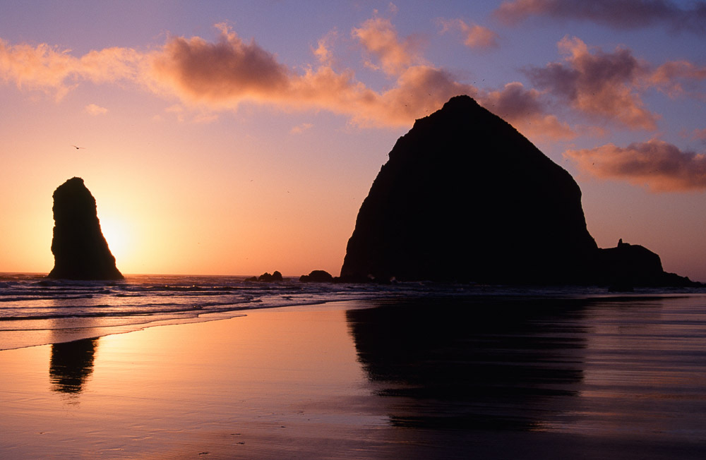 Eckert_131209_690075