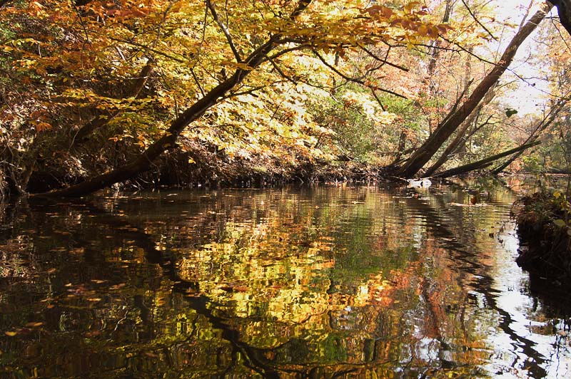 Nanjemoy reflections1