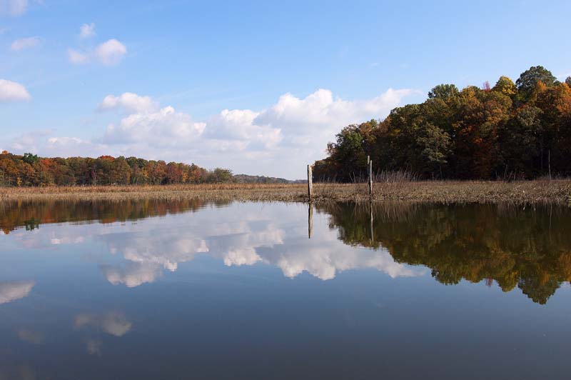 Nanjemoy reflections11