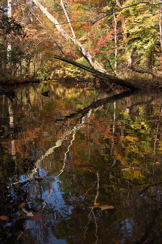 Nanjemoy reflections2