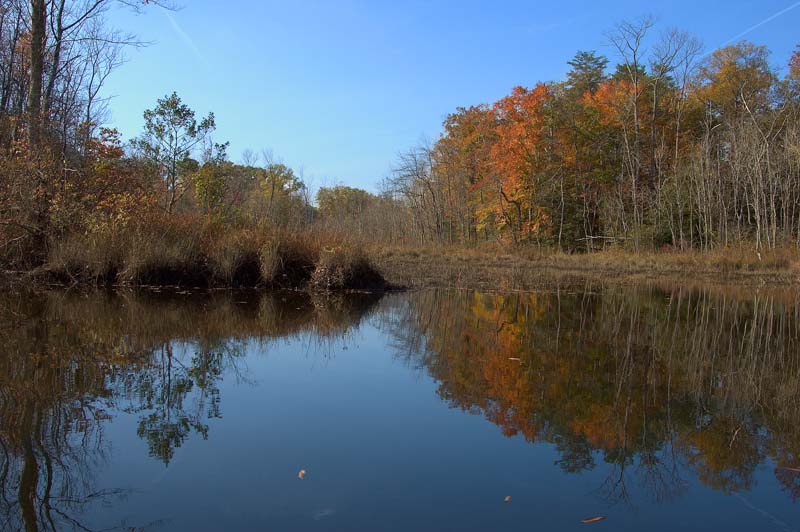 Nanjemoy reflections5