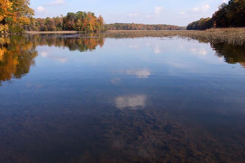 Nanjemoy reflections9