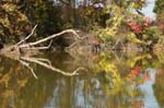 Nanjemoy reflections12