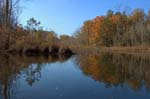 Nanjemoy reflections5