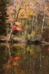 Nanjemoy reflections8