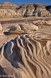 Bisti Zebra