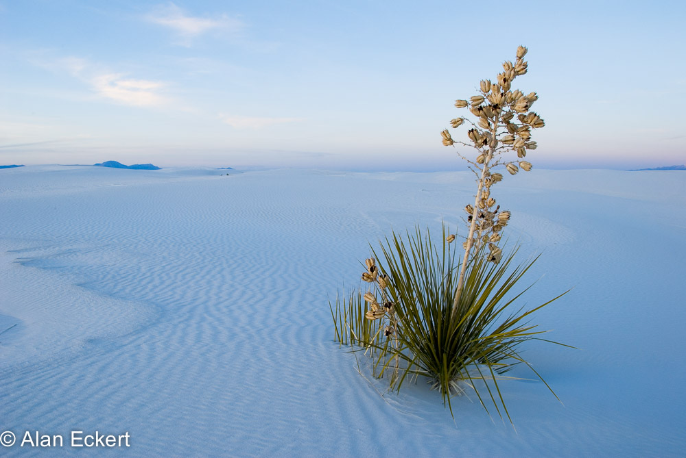 Eckert_080108N1502-12x18