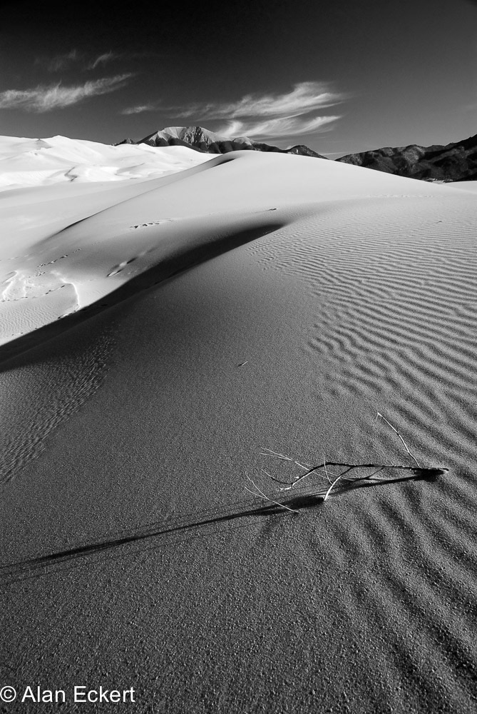 Eckert_080928_2369_B&W