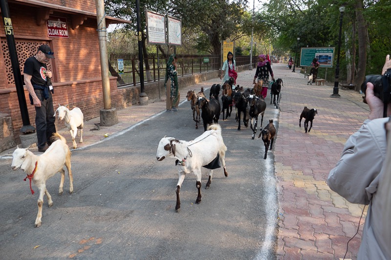 Eckert_240312_1010233