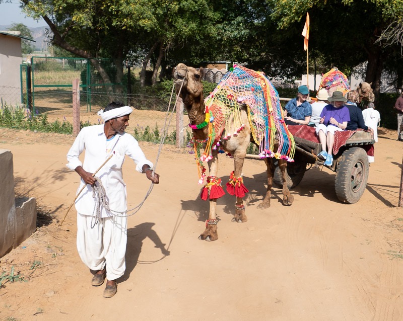 Eckert_240313_1010303