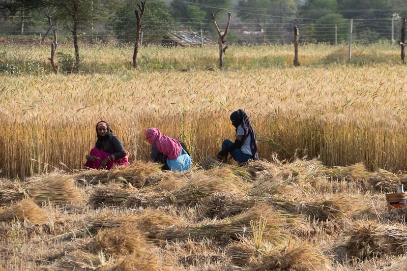 Eckert_240314_1010455