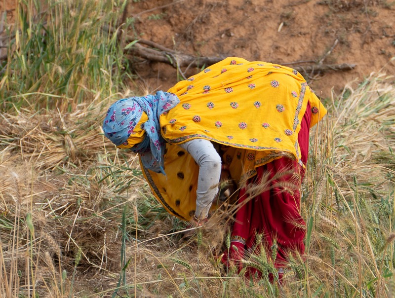 Eckert_240314_1010476