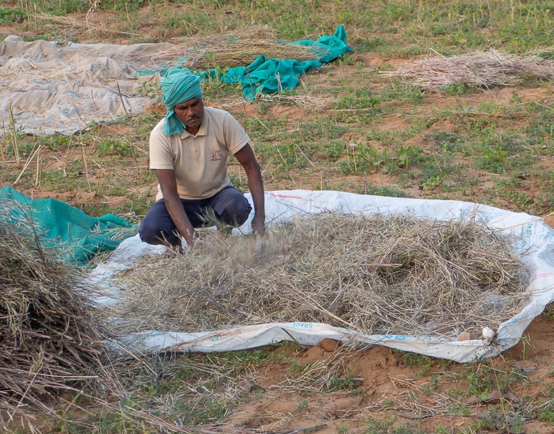 Eckert_240314_1010477