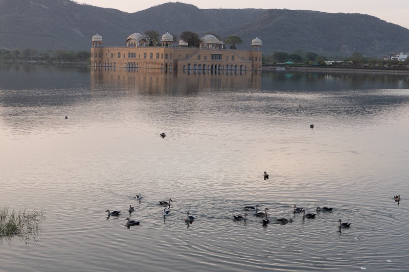 Eckert_240315_1010546