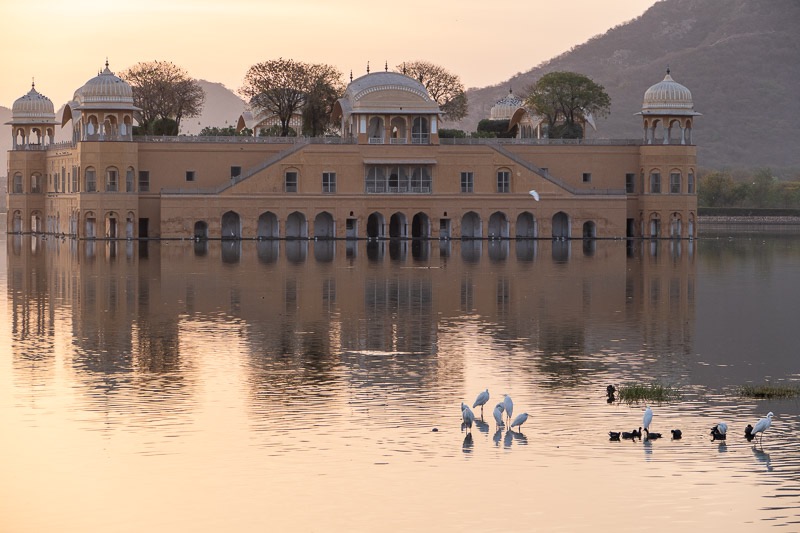 Eckert_240315_1010552