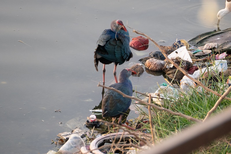 Eckert_240315_1010557