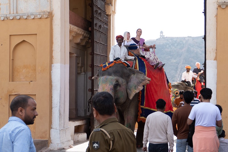 Eckert_240315_1010574