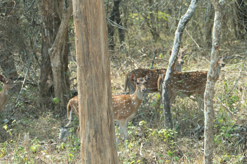 Eckert_240319_1010630