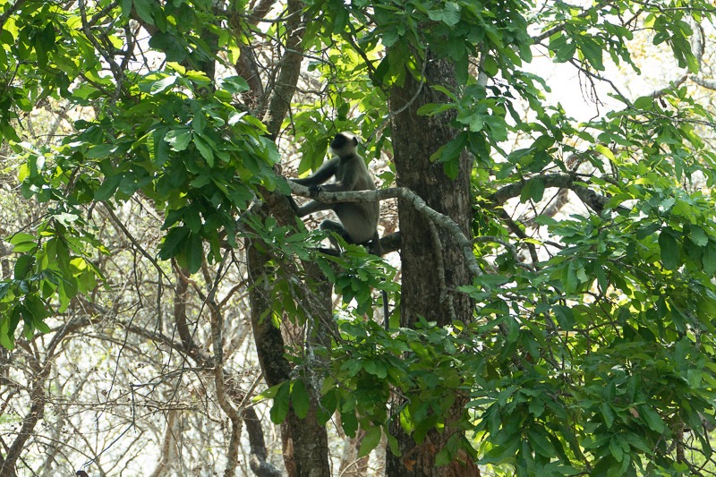 Eckert_240319_1010633