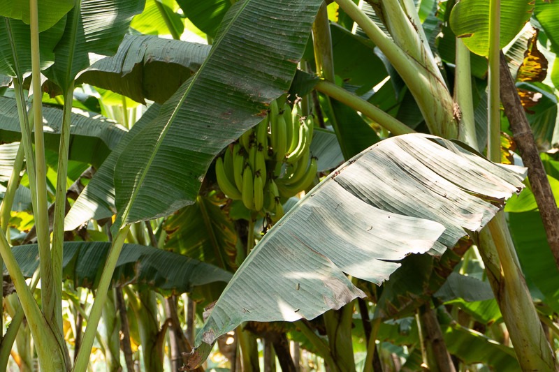 Eckert_240320_1010637