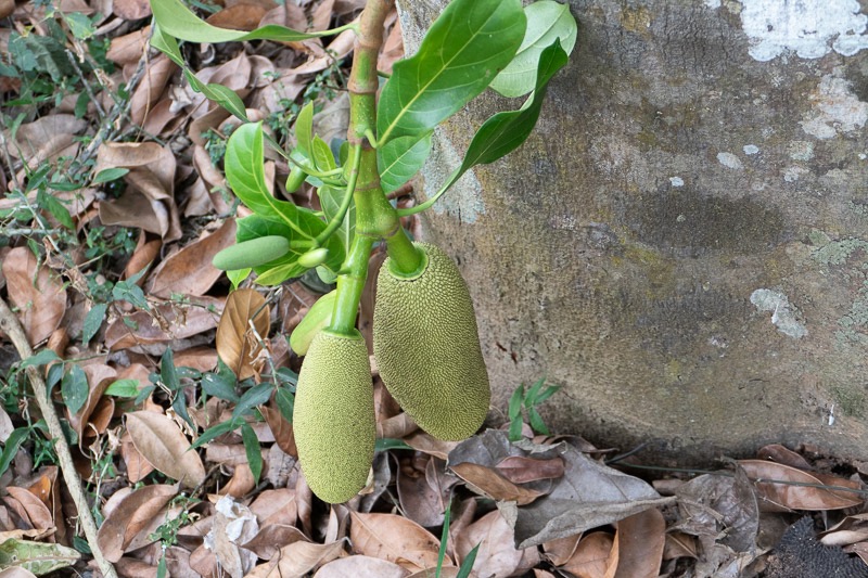 Eckert_240320_1010648