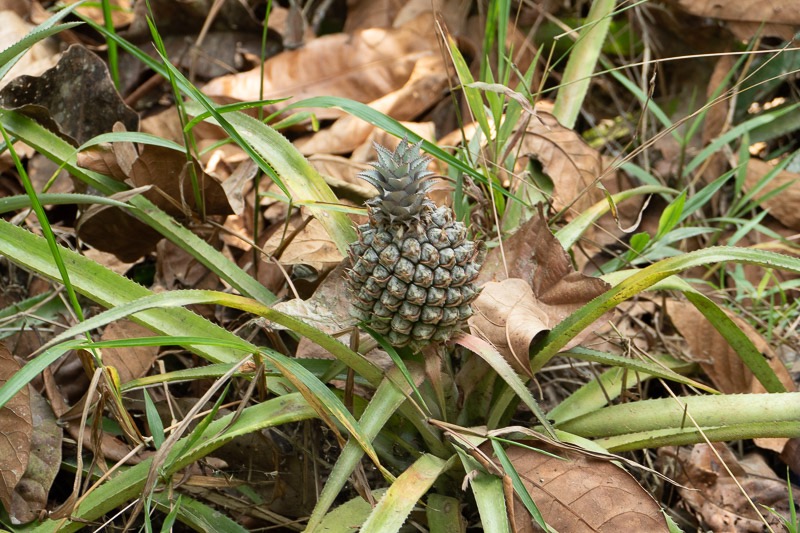 Eckert_240320_1010656