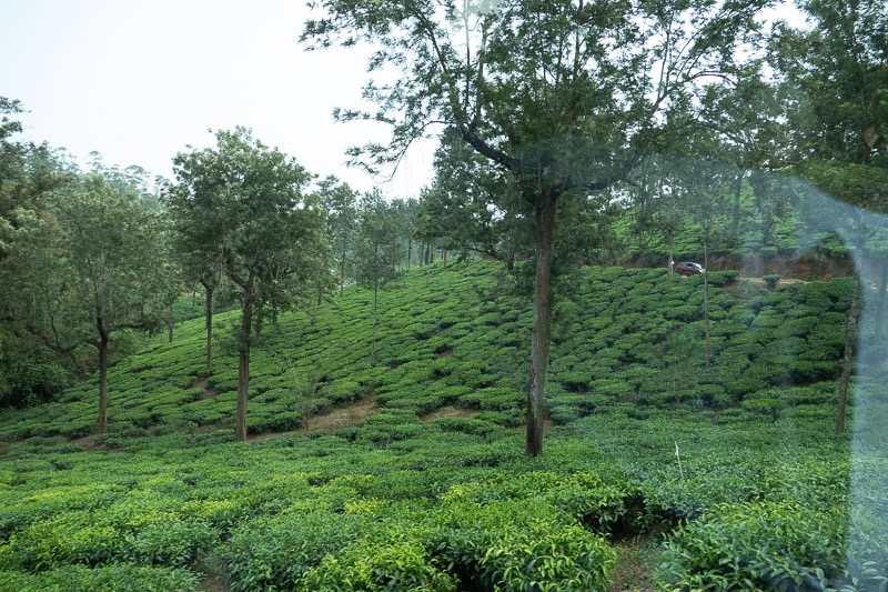 Eckert_240320_1010662