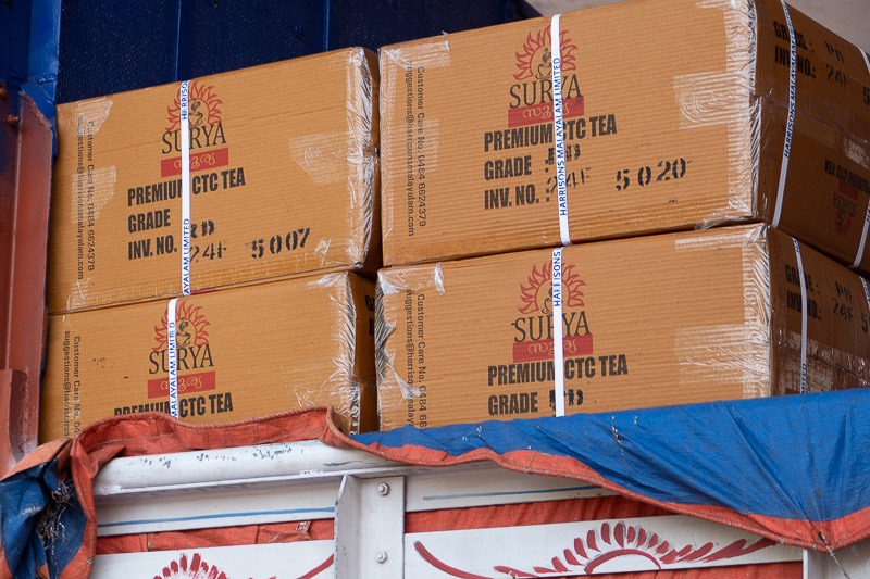 Eckert_240320_1010667