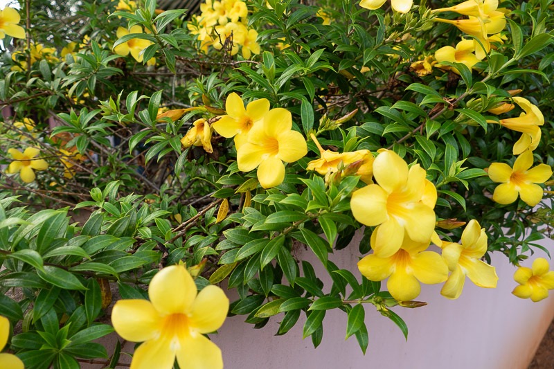 Eckert_240323_1010757