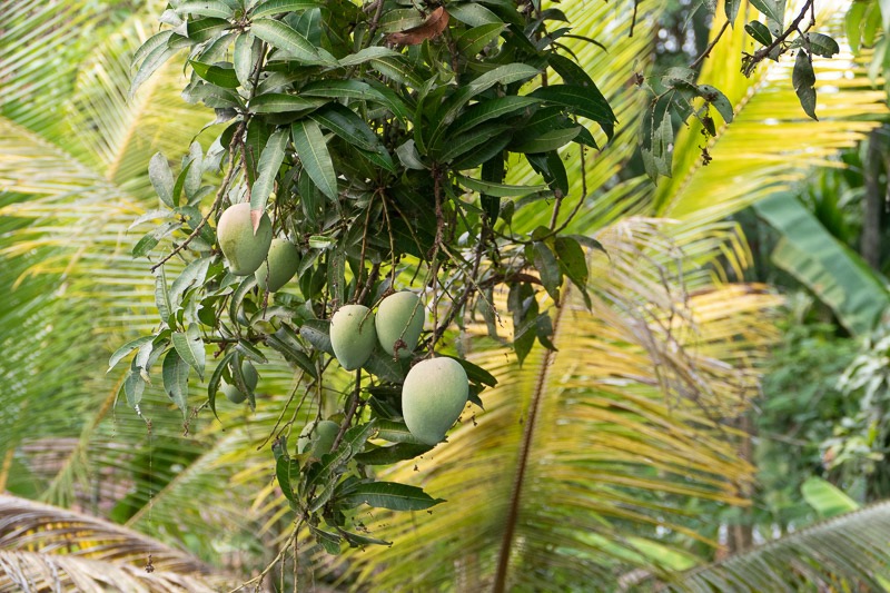 Eckert_240323_1010758