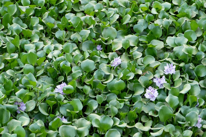 Eckert_240323_1010763