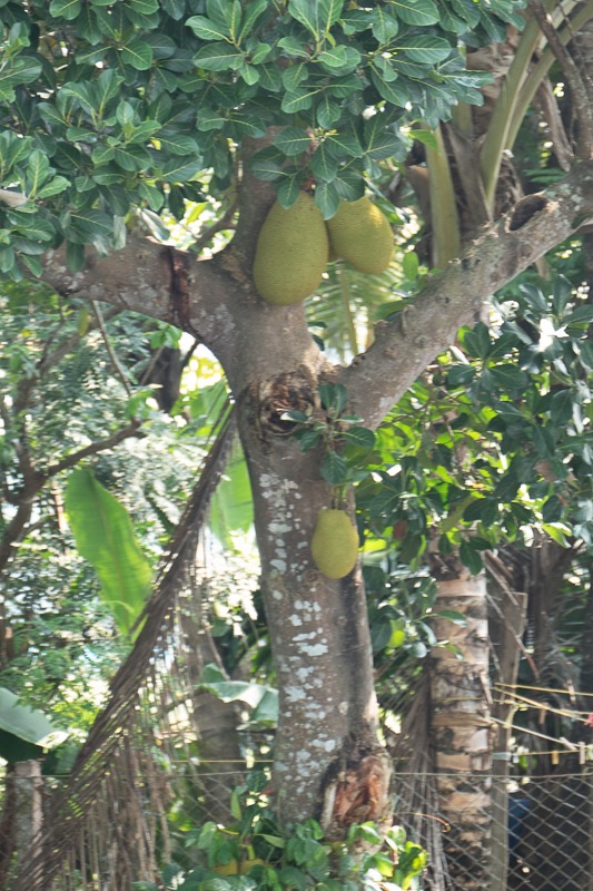 Eckert_240323_1010793