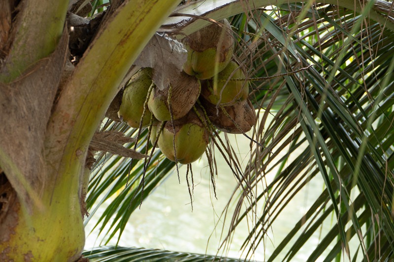 Eckert_240324_1010826