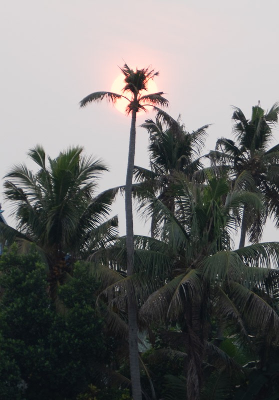 Eckert_240324_1010865