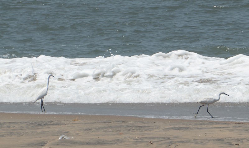 Eckert_240325_1010877