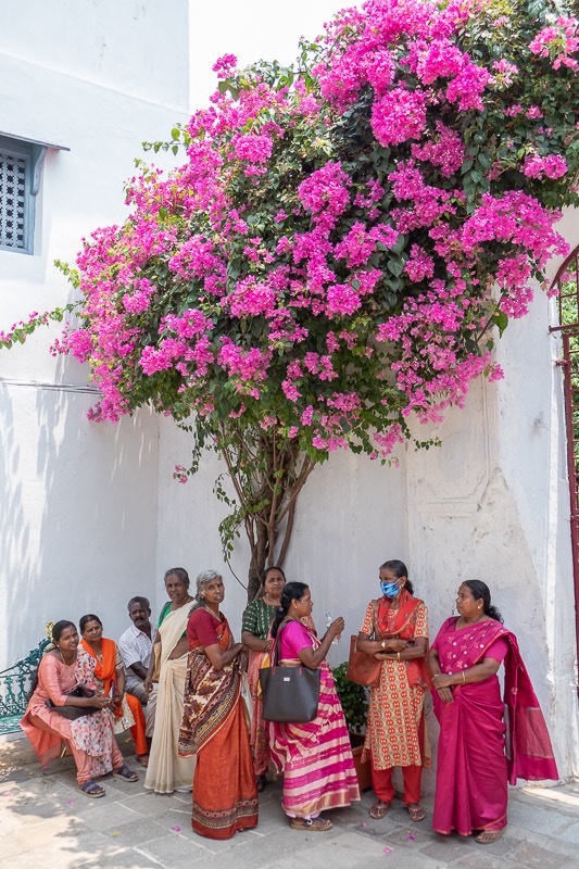 Eckert_240326_1020032