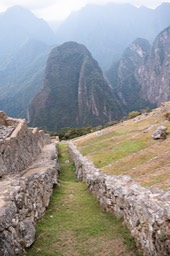 Eckert_240827_1020280