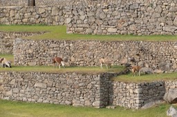 Eckert_240827_1020302