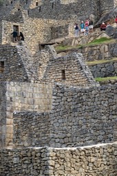 Eckert_240827_1020318