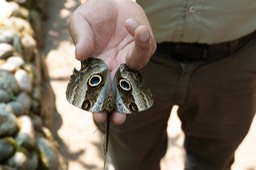 Eckert_240828_1020341