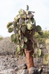 Eckert_240903_1020453