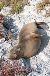 Eckert_240903_1020467