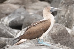 Eckert_240904_1020510