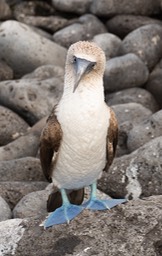 Eckert_240904_1020518