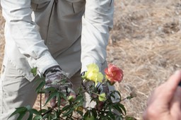 Eckert_240904_1020527