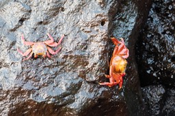 Eckert_240904_1020545