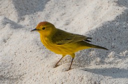 Eckert_240906_1020639