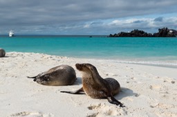 Eckert_240906_1020640