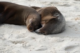 Eckert_240906_1020647