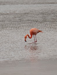 Eckert_240907_1020677